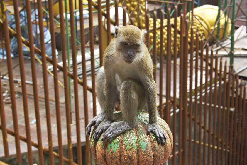 Достопримечательности Куала Лумпура